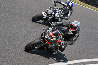 Middle Group Multicolour Bikes